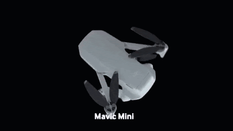 Mavic Mini vs Mavic Air